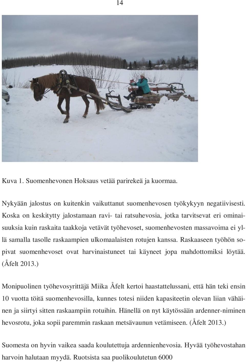ulkomaalaisten rotujen kanssa. Raskaaseen työhön sopivat suomenhevoset ovat harvinaistuneet tai käyneet jopa mahdottomiksi löytää. (Åfelt 2013.
