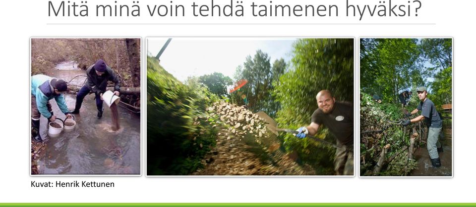 hyväksi?