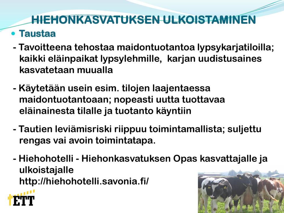 tilojen laajentaessa maidontuotantoaan; nopeasti uutta tuottavaa eläinainesta tilalle ja tuotanto käyntiin - Tautien