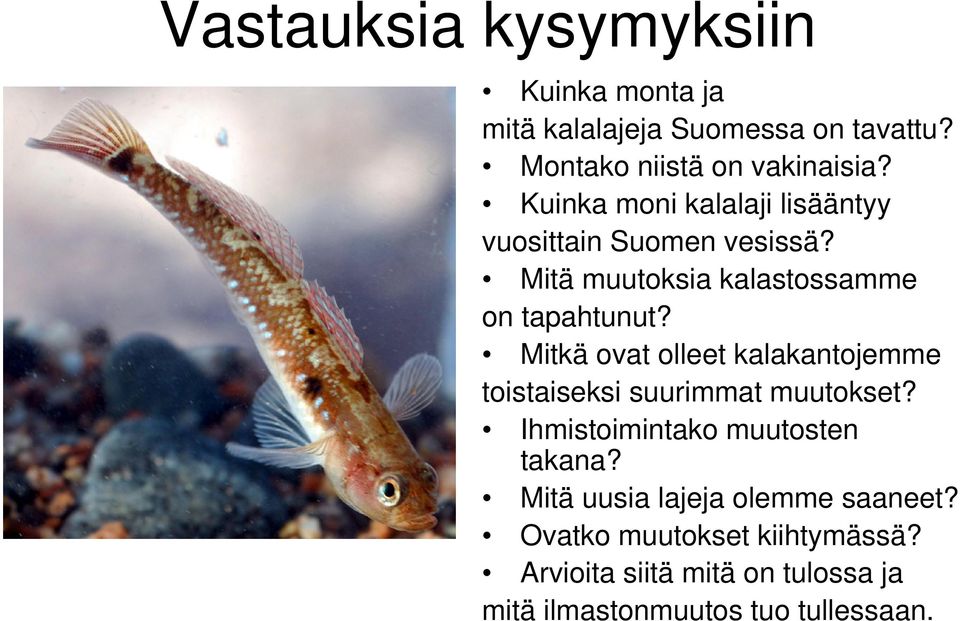 Mitkä ovat olleet kalakantojemme toistaiseksi suurimmat muutokset? Ihmistoimintako muutosten takana?