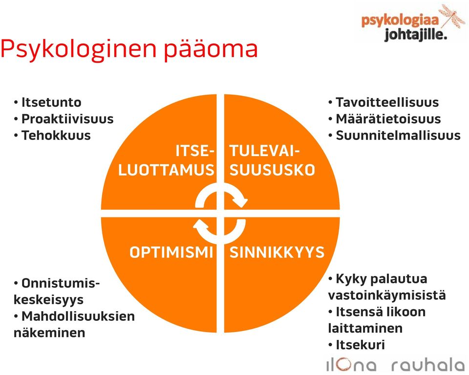 Suunnitelmallisuus Onnistumiskeskeisyys Mahdollisuuksien näkeminen