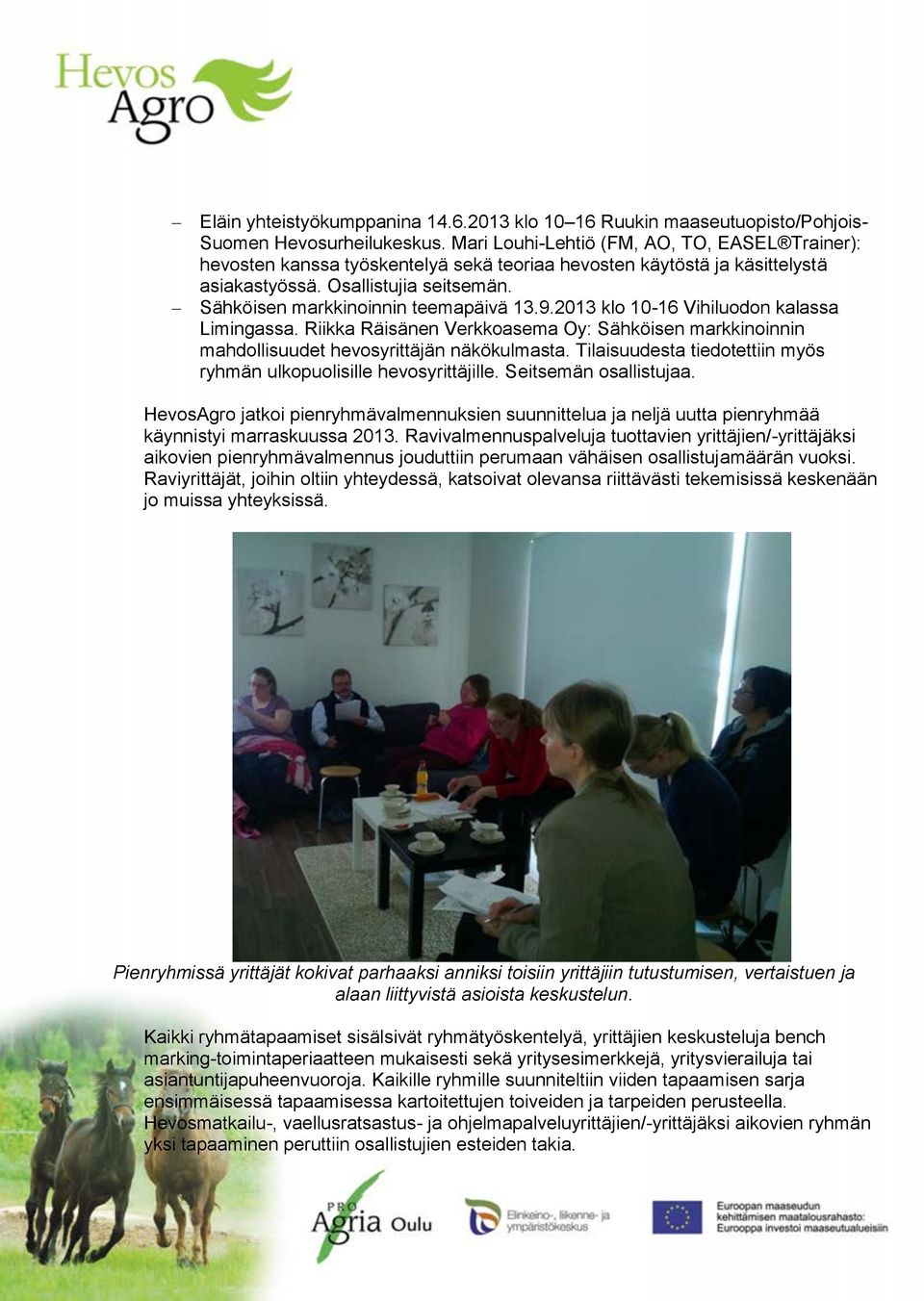 9.2013 klo 10-16 Vihiluodon kalassa Limingassa. Riikka Räisänen Verkkoasema Oy: Sähköisen markkinoinnin mahdollisuudet hevosyrittäjän näkökulmasta.