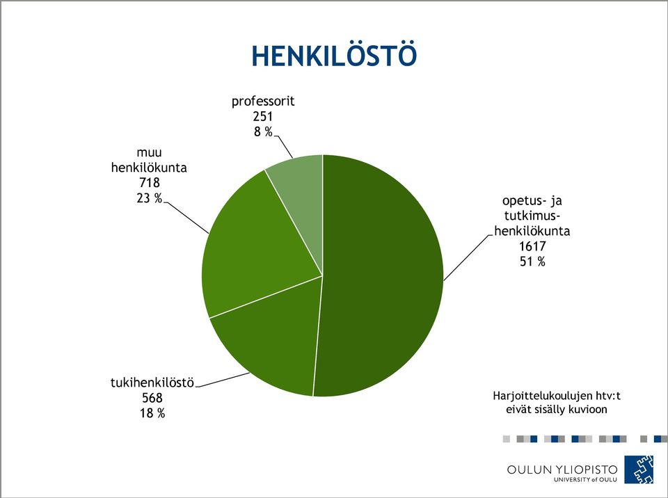 tutkimushenkilökunta 1617 51 %