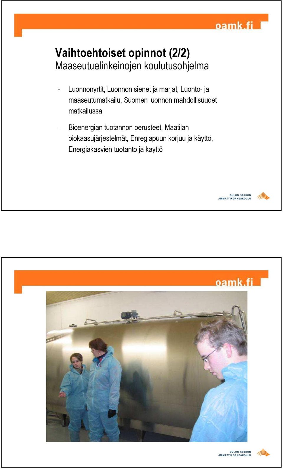 luonnon mahdollisuudet matkailussa - Bioenergian tuotannon perusteet,