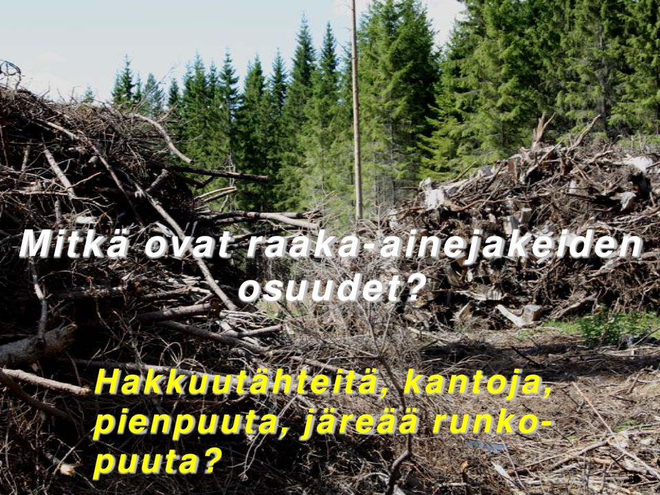 järeää runkopuuta? 10.11.