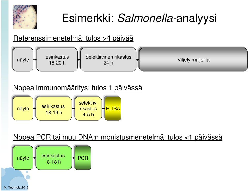 immunomääritys: tulos 1 päivässä näyte esirikastus 18-19 h selektiiv.