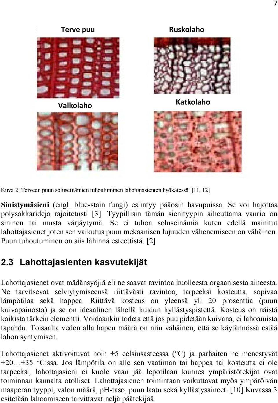 Se ei tuhoa soluseinämiä kuten edellä mainitut lahottajasienet joten sen vaikutus puun mekaanisen lujuuden vähenemiseen on vähäinen. Puun tuhoutuminen on siis lähinnä esteettistä. [2] 2.