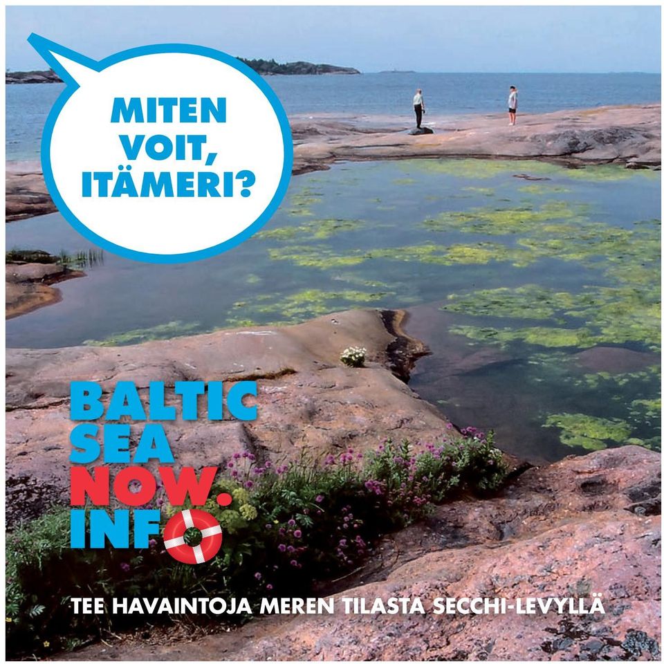 TEE HAVAINTOJA