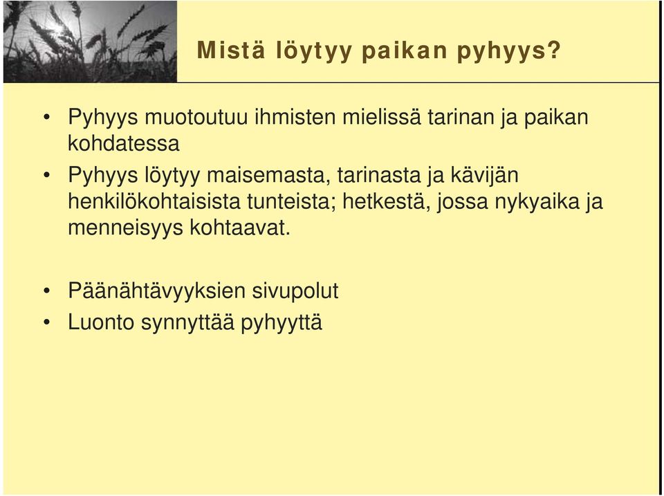 Pyhyys löytyy maisemasta, tarinasta ja kävijän henkilökohtaisista