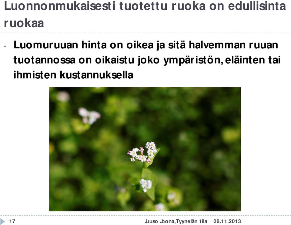 ruuan tuotannossa on oikaistu joko ympäristön,