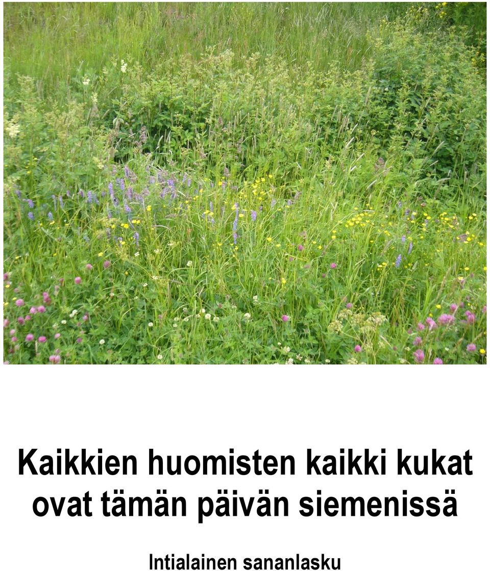 tämän päivän