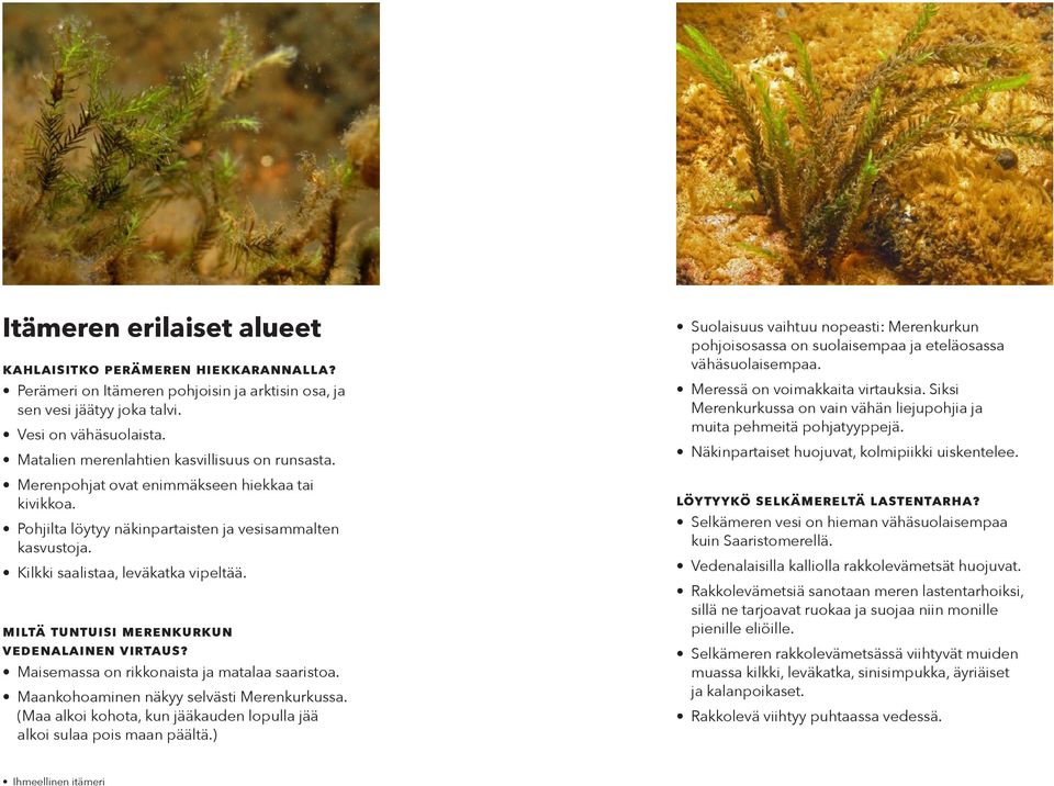 Miltä tuntuisi Merenkurkun vedenalainen virtaus? Maisemassa on rikkonaista ja matalaa saaristoa. Maankohoaminen näkyy selvästi Merenkurkussa.