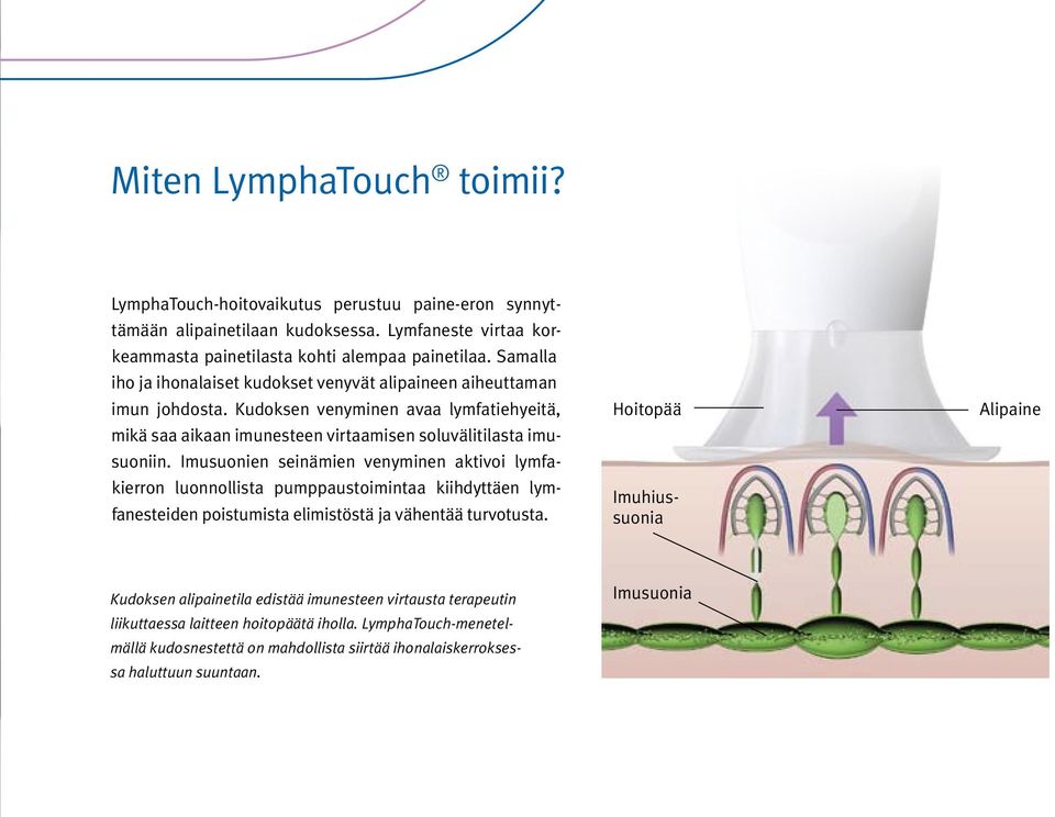 Imusuonien seinämien venyminen aktivoi lymfakierron luonnollista pumppa ustoimintaa kiihdyttäen lymfanesteiden poistumista elimistöstä ja vähentää turvotusta.