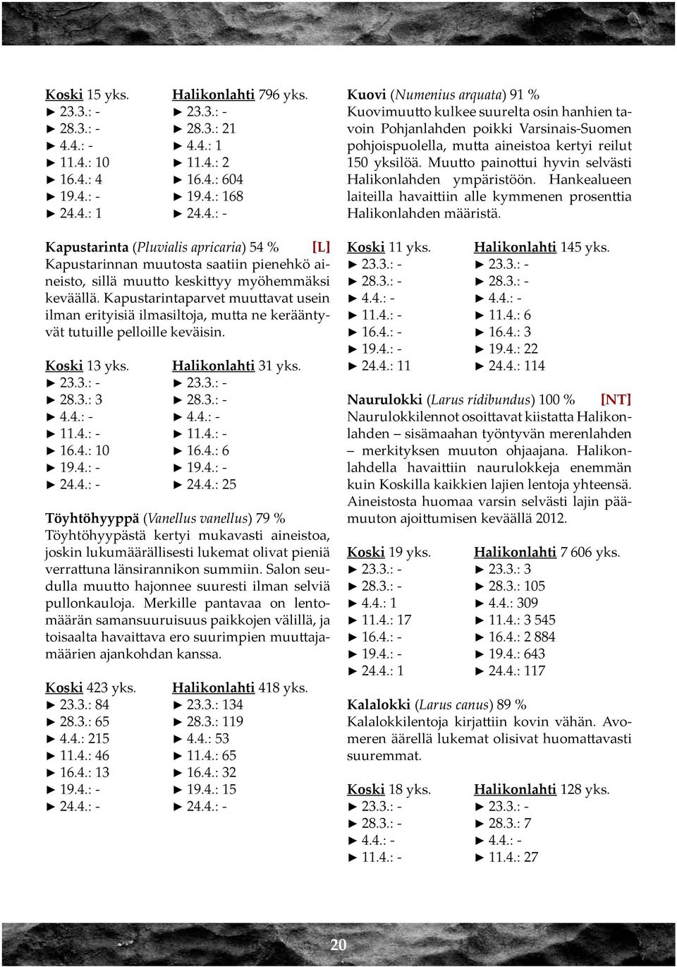 4.: 10 16.4.: 6 19.4.: - 19.4.: - 24.4.: - 24.4.: 25 Töyhtöhyyppä (Vanellus vanellus) 79 % Töyhtöhyypästä kertyi mukavasti aineistoa, joskin lukumäärällisesti lukemat olivat pieniä verrattuna länsirannikon summiin.