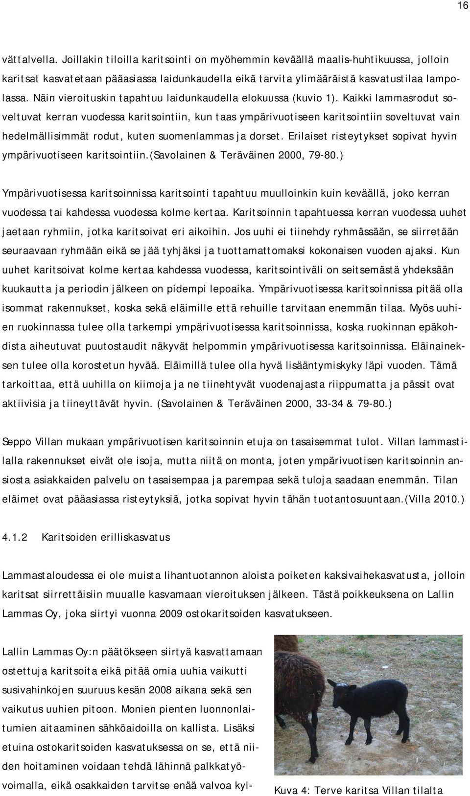 Kaikki lammasrodut soveltuvat kerran vuodessa karitsointiin, kun taas ympärivuotiseen karitsointiin soveltuvat vain hedelmällisimmät rodut, kuten suomenlammas ja dorset.