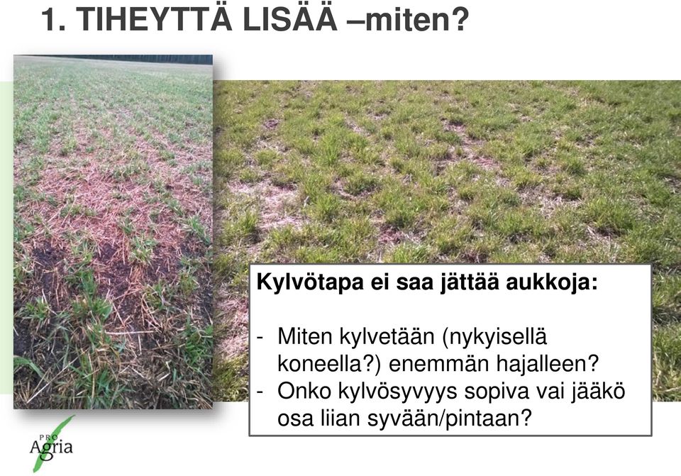 kylvetään (nykyisellä koneella?