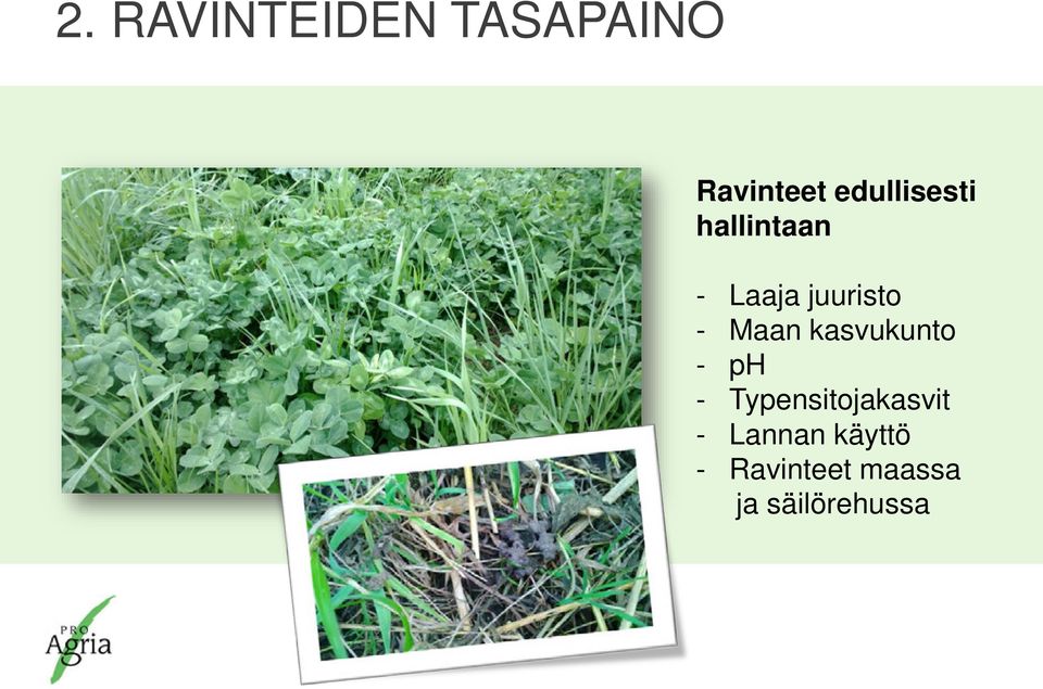 Maan kasvukunto - ph - Typensitojakasvit