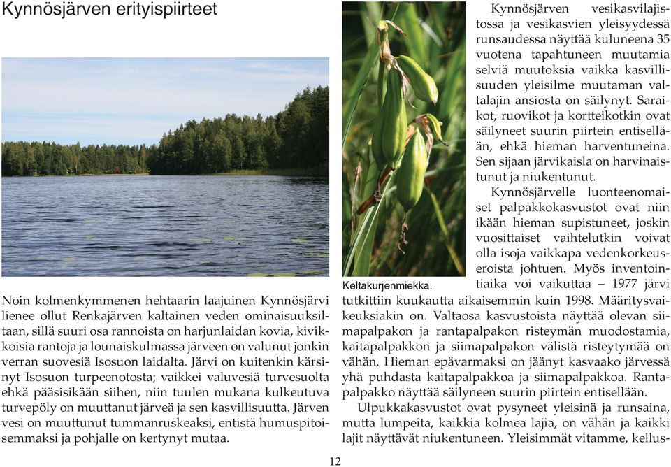 Järvi on kuitenkin kärsinyt Isosuon turpeenotosta; vaikkei valuvesiä turvesuolta ehkä pääsisikään siihen, niin tuulen mukana kulkeutuva turvepöly on muuttanut järveä ja sen kasvillisuutta.