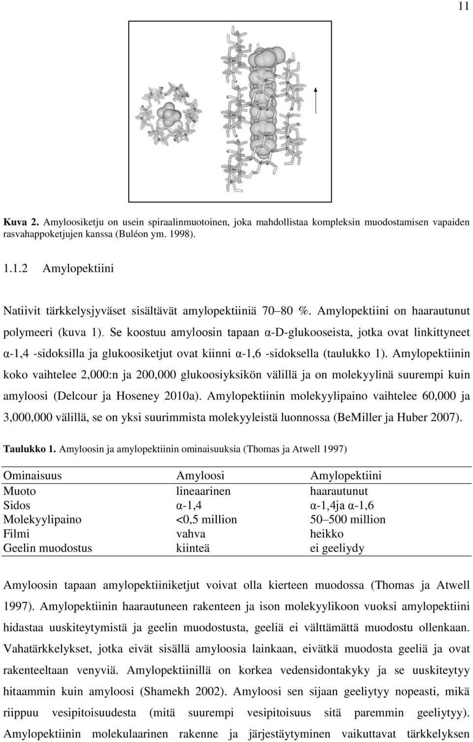 Amylopektiinin koko vaihtelee 2,000:n ja 200,000 glukoosiyksikön välillä ja on molekyylinä suurempi kuin amyloosi (Delcour ja Hoseney 2010a).