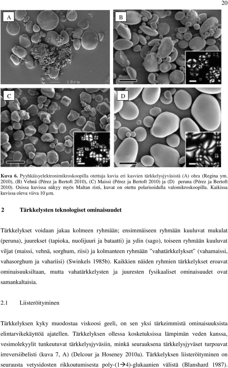 Osissa kuvissa näkyy myös Maltan risti, kuvat on otettu polarisoidulla valomikroskoopilla. Kaikissa kuvissa oleva viiva 10 µm.