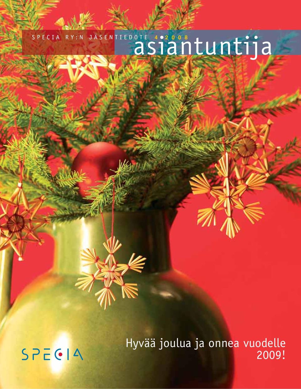 asiantuntija 4 2008