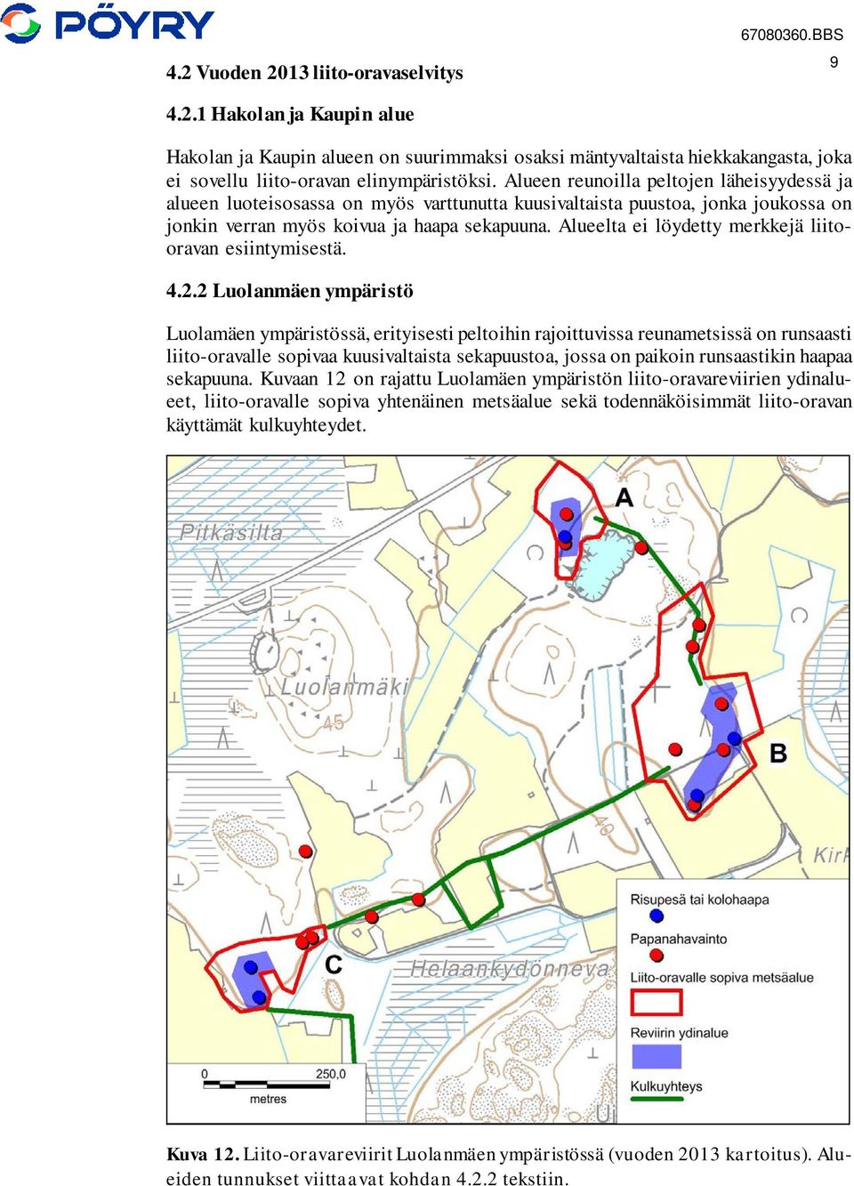 Alueelta ei löydetty merkkejä liitooravan esiintymisestä. 4.2.