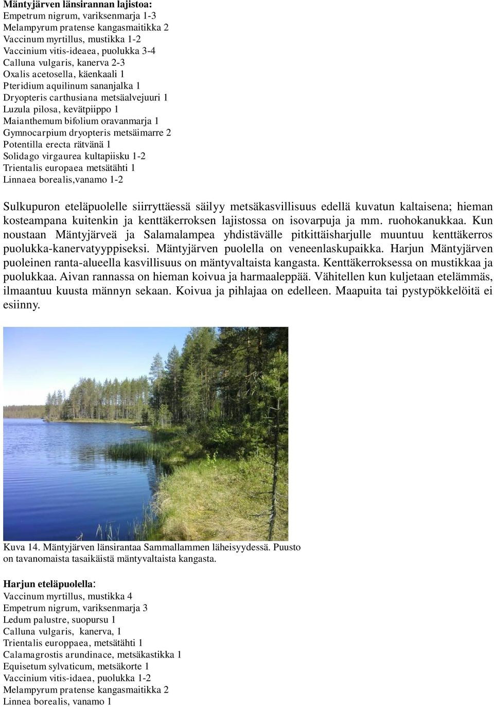 dryopteris metsäimarre 2 Potentilla erecta rätvänä 1 Solidago virgaurea kultapiisku 1-2 Trientalis europaea metsätähti 1 Linnaea borealis,vanamo 1-2 Sulkupuron eteläpuolelle siirryttäessä säilyy