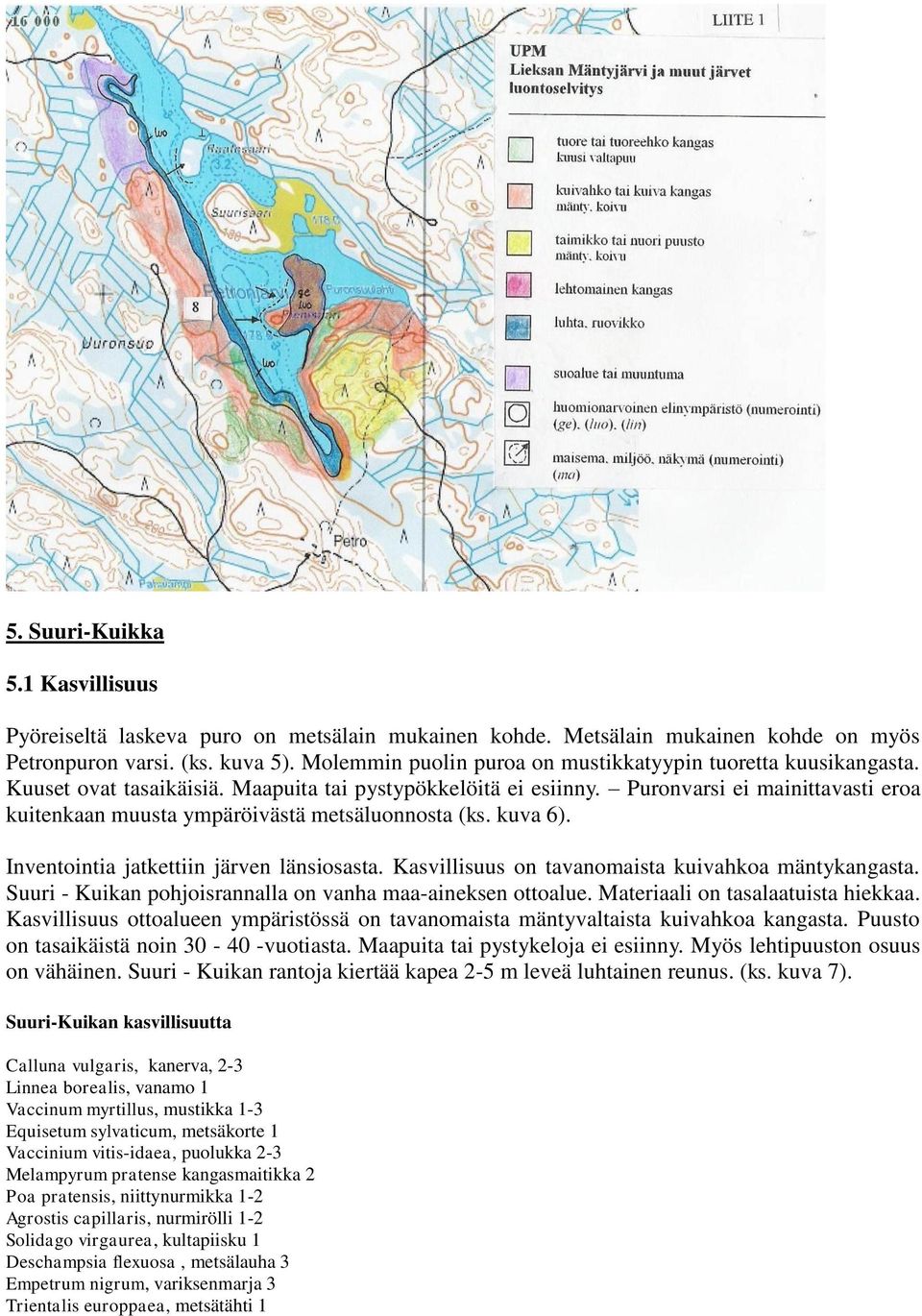 Puronvarsi ei mainittavasti eroa kuitenkaan muusta ympäröivästä metsäluonnosta (ks. kuva 6). Inventointia jatkettiin järven länsiosasta. Kasvillisuus on tavanomaista kuivahkoa mäntykangasta.