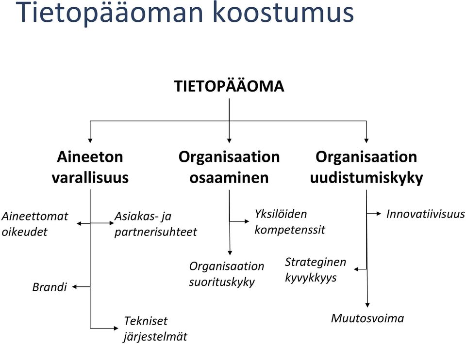 partnerisuhteet Yksilöiden kompetenssit Innovatiivisuus Brandi Tekniset