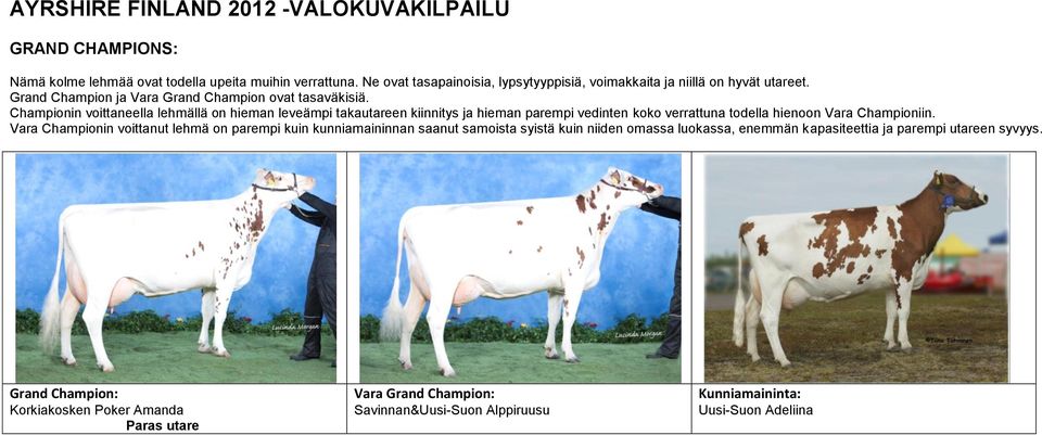Championin voittaneella lehmällä on hieman leveämpi takautareen kiinnitys ja hieman parempi vedinten koko verrattuna todella hienoon Vara Championiin.