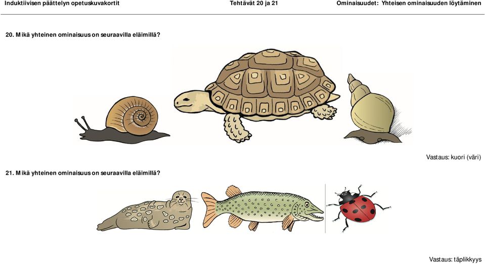 Mikä yhteinen ominaisuus on seuraavilla eläimillä? 21.