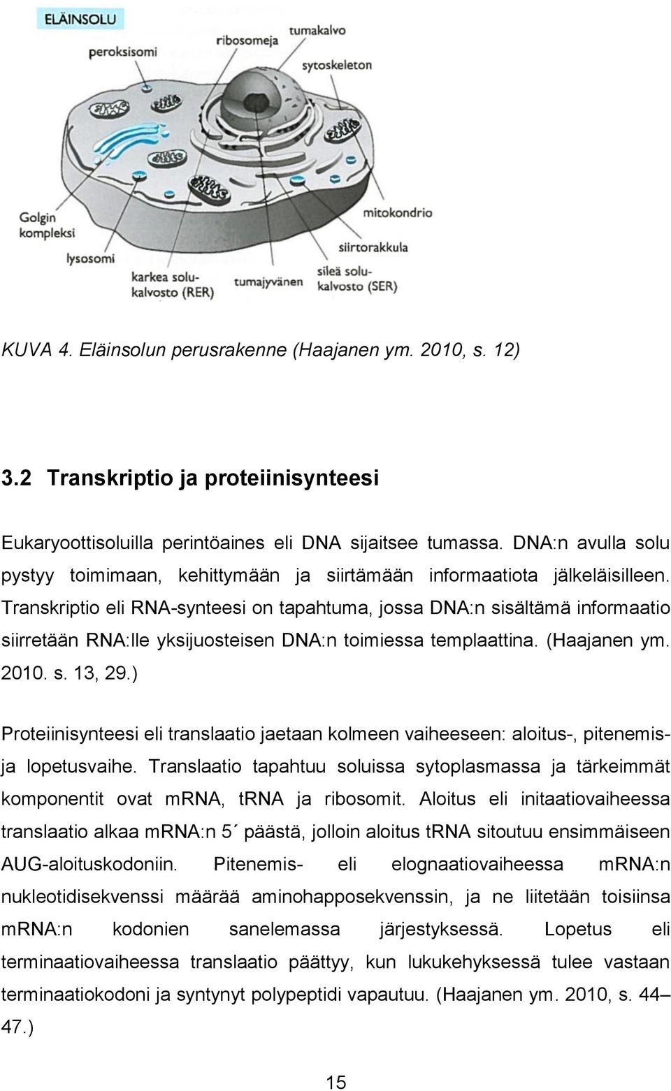 Transkriptio eli RNA-synteesi on tapahtuma, jossa DNA:n sisältämä informaatio siirretään RNA:lle yksijuosteisen DNA:n toimiessa templaattina. (Haajanen ym. 2010. s. 13, 29.