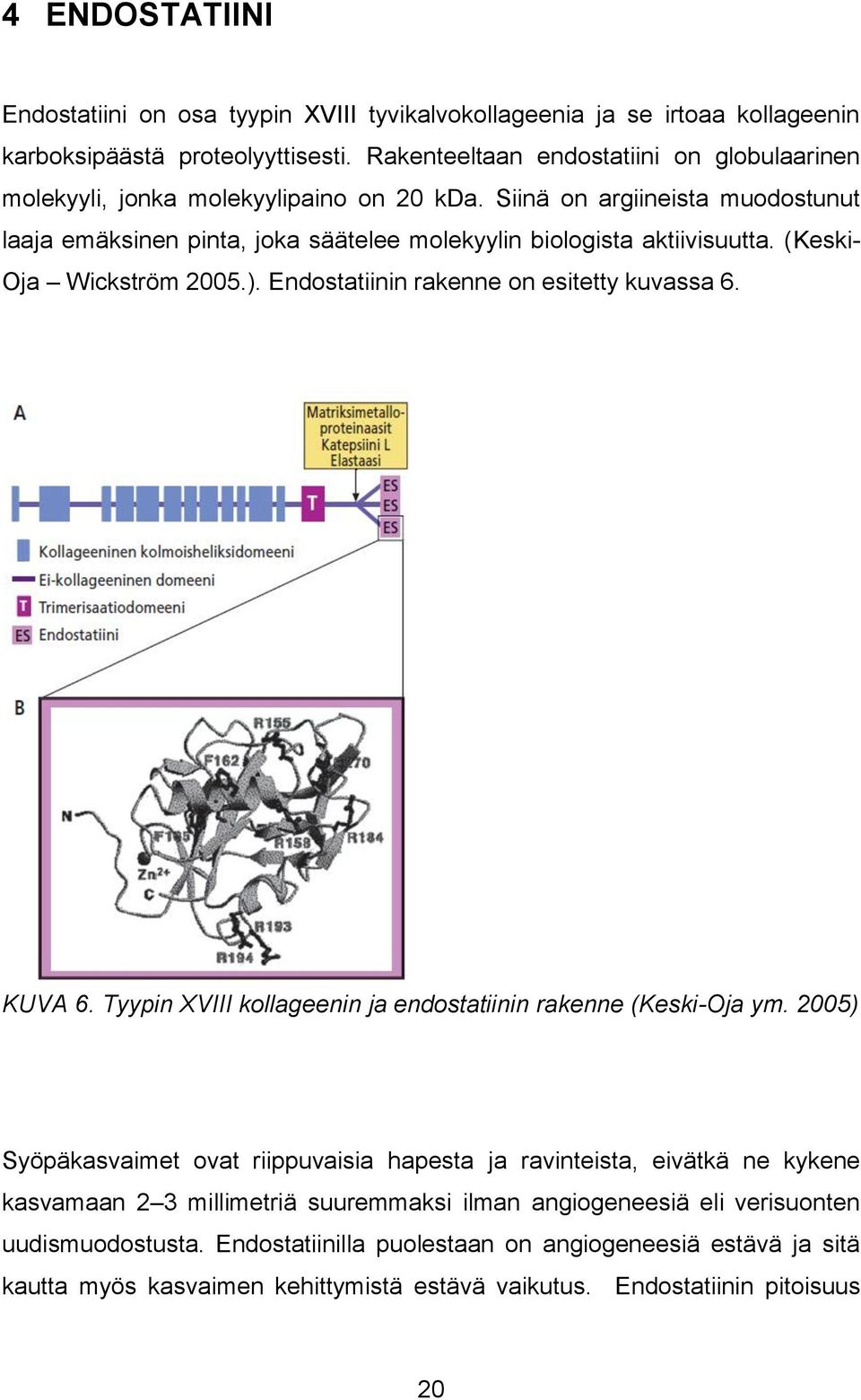 (Keski- Oja Wickström 2005.). Endostatiinin rakenne on esitetty kuvassa 6. KUVA 6. Tyypin XVIII kollageenin ja endostatiinin rakenne (Keski-Oja ym.