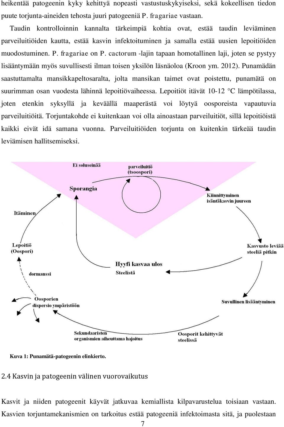 fragariae on P. cactorum -lajin tapaan homotallinen laji, joten se pystyy lisääntymään myös suvullisesti ilman toisen yksilön läsnäoloa (Kroon ym. 2012).