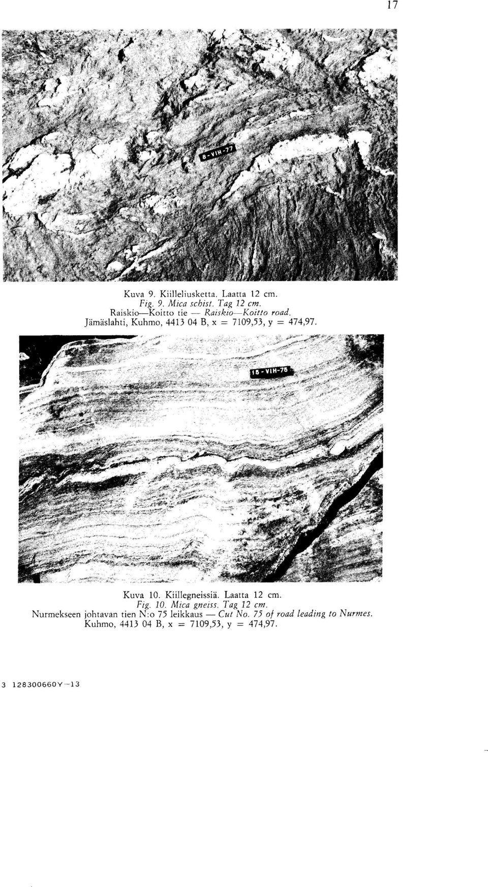 Kuva 10. Kiillegneissia. Laatta 12 cm. Fig. 10. Mica gneiss. Tag 12 cm.