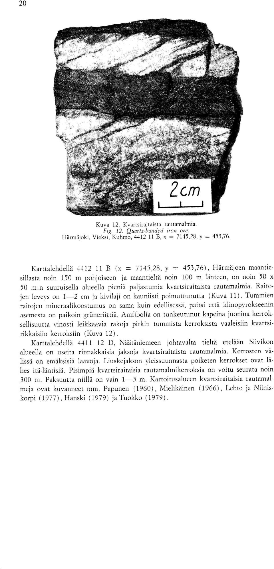 kvartsiraitaista rautamalmia. Raitojen leveys on 1-2 cm ja kivilaji on kauniisti poimuttunutta (Kuva 11).