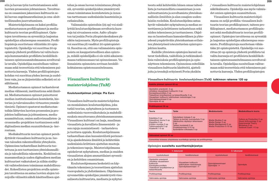 Profiiliopintoja suoritetaan vähintään 20 opintopistettä.