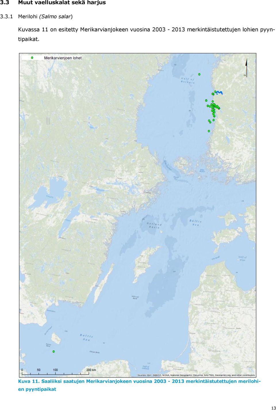 merkintäistutettujen lohien pyyntipaikat. Kuva 11.