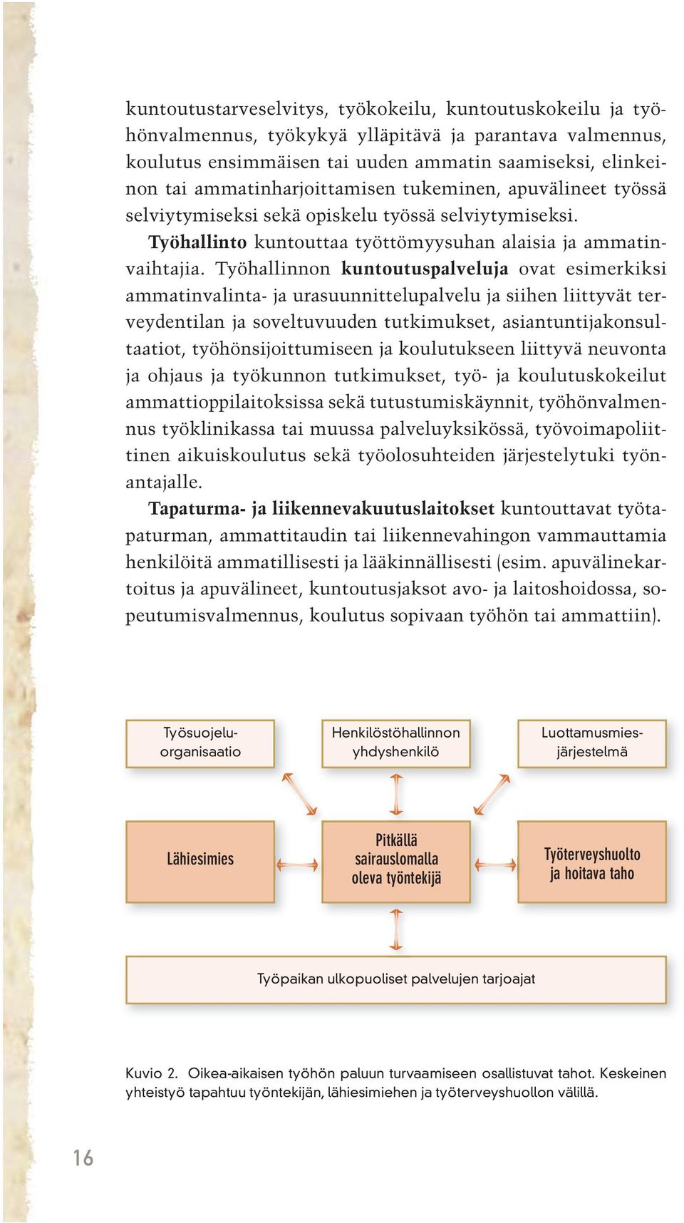 Työhallinnon kuntoutuspalveluja ovat esimerkiksi ammatinvalinta- ja urasuunnittelupalvelu ja siihen liittyvät terveydentilan ja soveltuvuuden tutkimukset, asiantuntijakonsultaatiot,