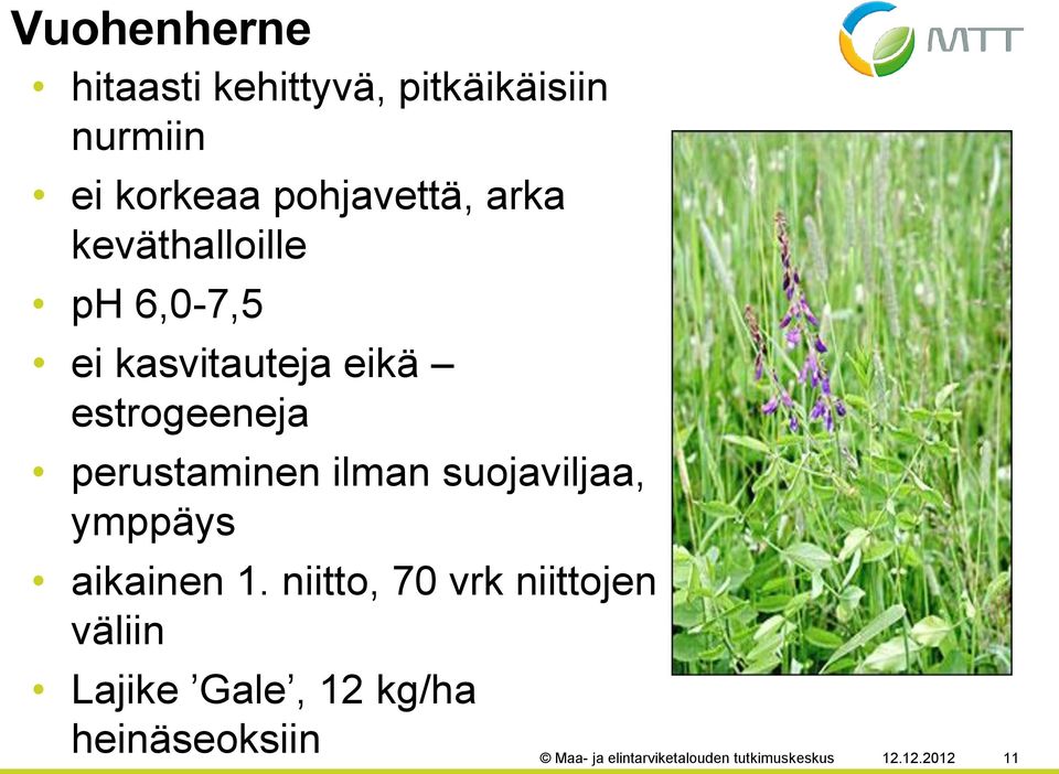 ilman suojaviljaa, ymppäys aikainen 1.