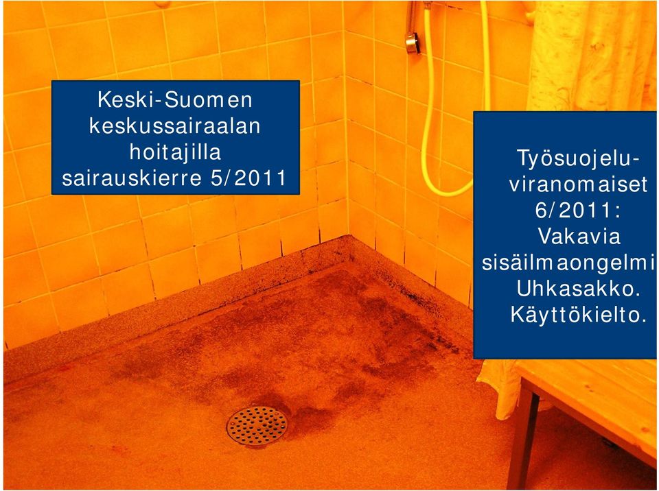 Työsuojeluviranomaiset 6/2011:
