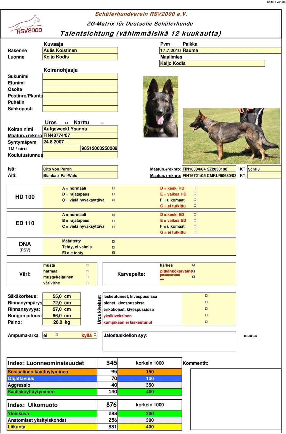 +reknro FIN48774/07 Syntymäpvm 24.8.2007 TM / siru 9820028289 Koulutustunnus Schäferhundverein RSV2000 e.v. ZG-Matrix für Deutsche Schäferhunde Talentsichtung (vähimmäisikä 2 kuukautta) Bilder Isä: Cito von Peroh Maatun.