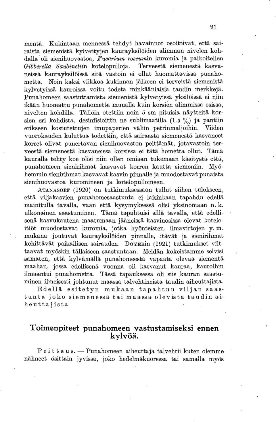 Saubinetiin kotelopulloja. Terveestä siemenestä kasvaneissä kaurayksilöissä sitä vastoin ei ollut huomattavissa punahometta.