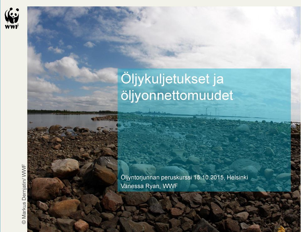 öljyonnettomuudet