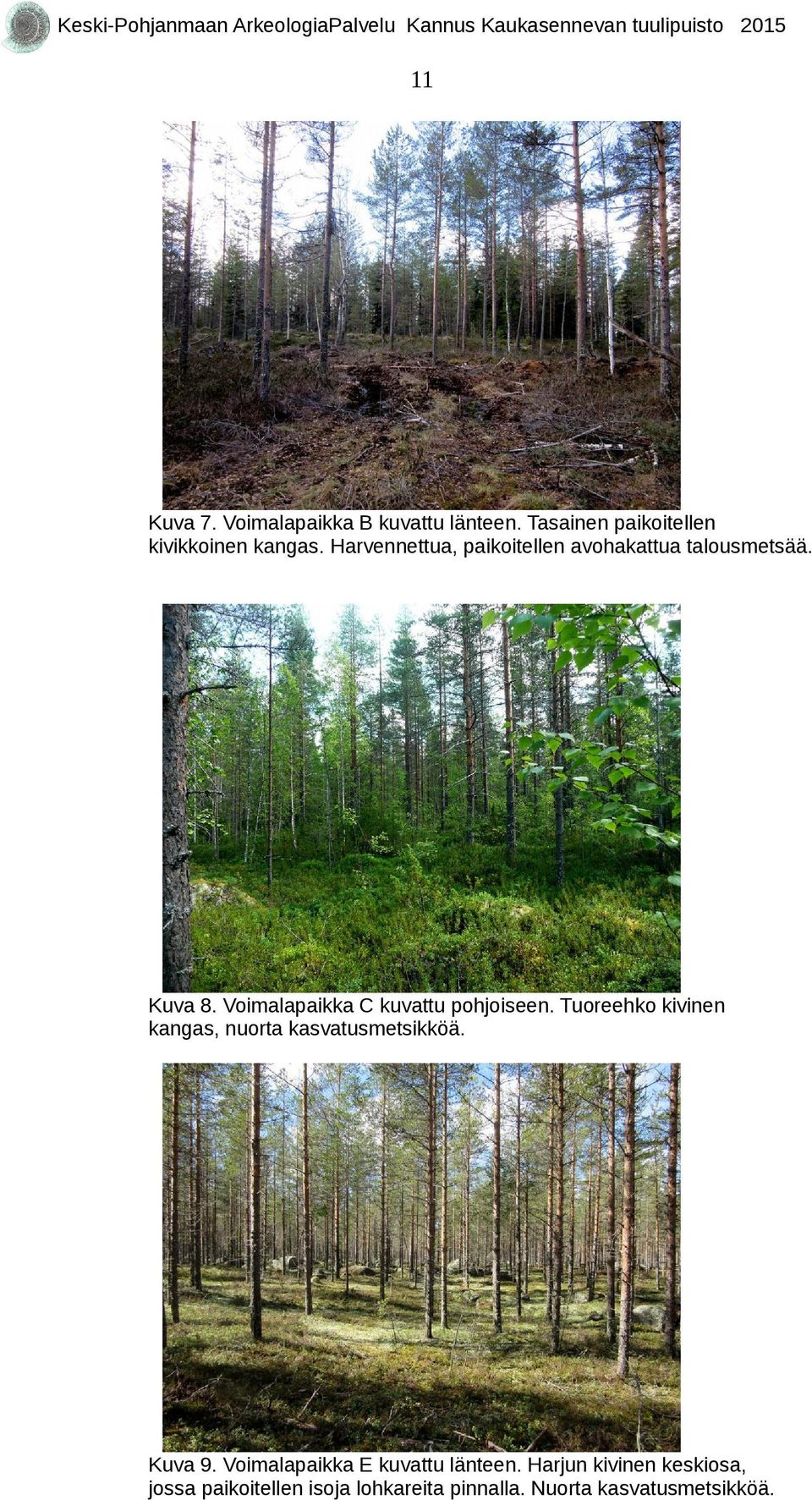 Voimalapaikka C kuvattu pohjoiseen. Tuoreehko kivinen kangas, nuorta kasvatusmetsikköä.