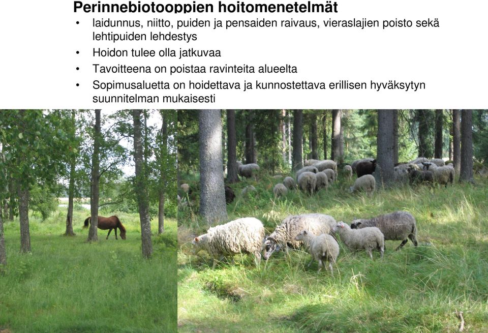 tulee olla jatkuvaa Tavoitteena on poistaa ravinteita alueelta