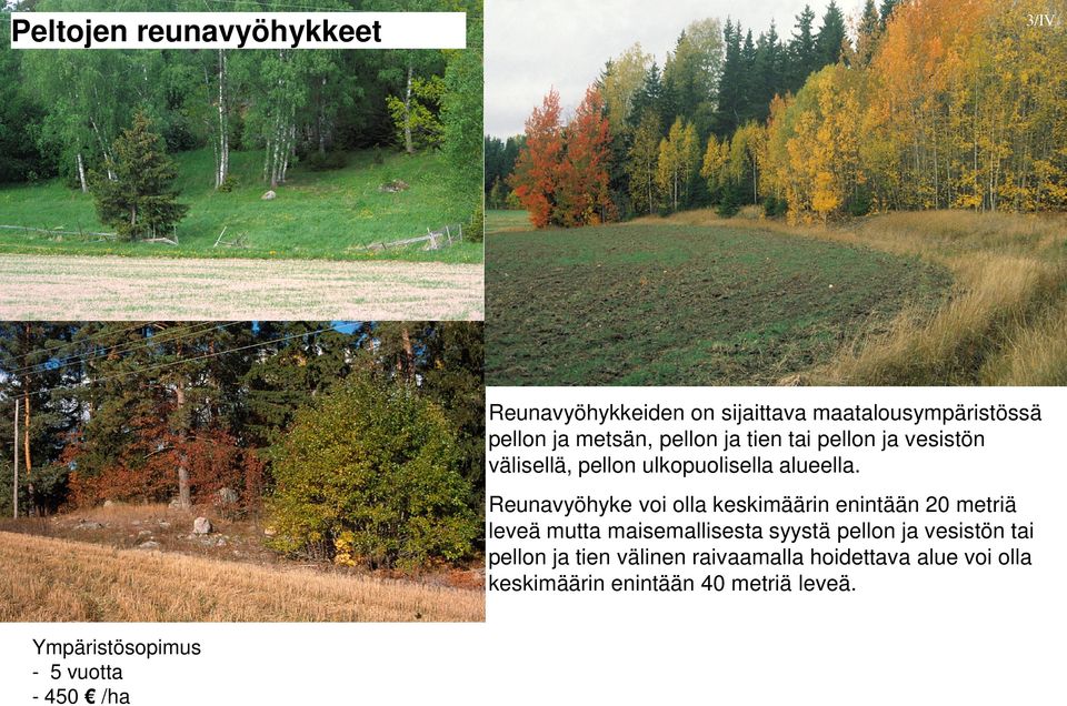 Reunavyöhyke voi olla keskimäärin enintään 20 metriä leveä mutta maisemallisesta syystä pellon ja vesistön