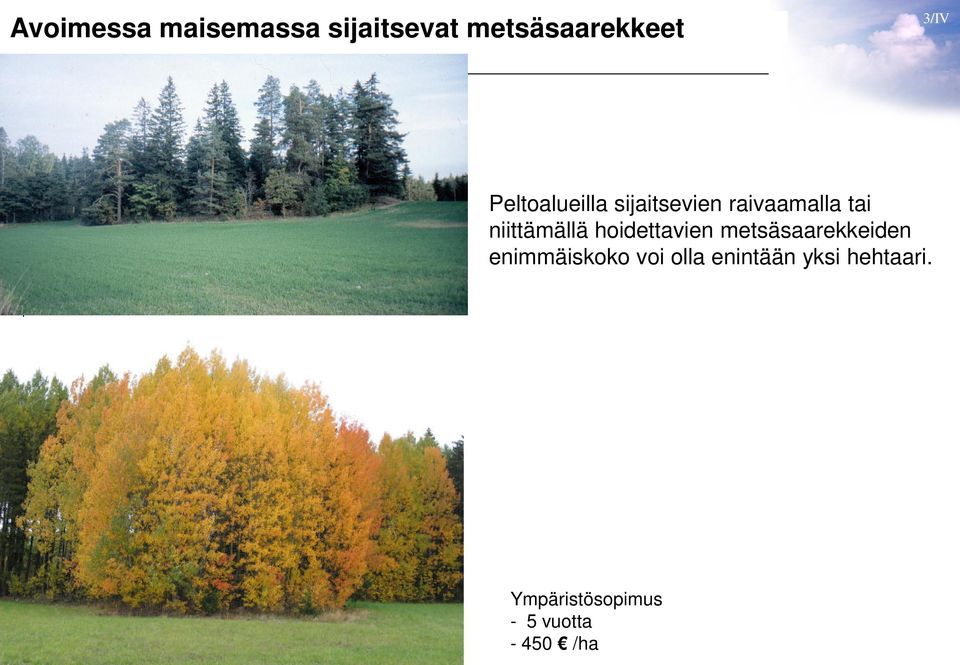 hoidettavien metsäsaarekkeiden enimmäiskoko voi olla enintään