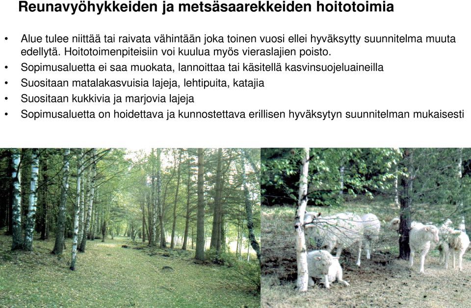 Sopimusaluetta ei saa muokata, lannoittaa tai käsitellä kasvinsuojeluaineilla Suositaan matalakasvuisia lajeja,