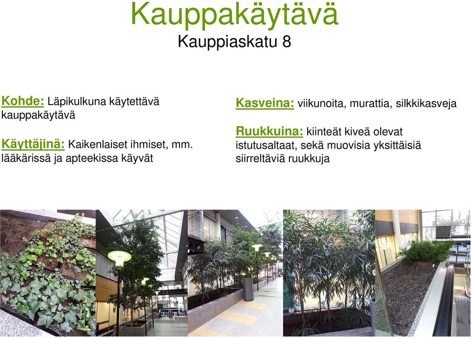 lääkärissä ja apteekissa käyvät Kasveina: viikunoita, murattia,